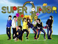 Super Junior M with Flower