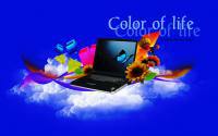 color of life