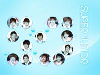 Super Junior Sapphire Blue 