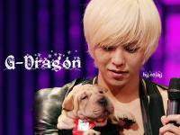 g-dragon