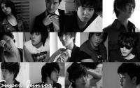 super junior