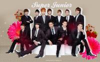 Super Junior;
