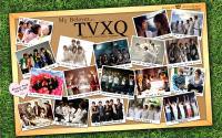 TVXQ - 6 anniversary set "My belover" w
