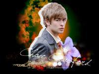 Chace:Gossip Girl