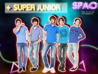 SPAO-SUPER JUNIOR