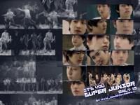 [super junior]It's you