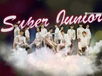 Super Junior,, It's You ... 