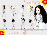 Sexy Kara Goo Hara