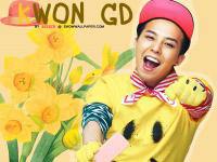 GD LOLLIPOP