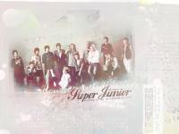 thirteen .  :  Super Junior