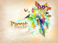 "Parrot" wonderfull birds!  นกสีสัน คัลเลอร์ฟู๊!!!