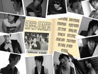 Super Junior