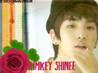 kimkey shinee
