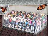 •°o.OSNSD with SPAO.o°•