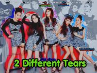  2 Different Tears Wonder Girls