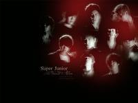 Super Junior :: The Fourth Album
