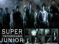 Super Junior with 4th album