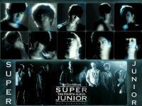 Super Junior[4th Album] # BONAMANA