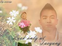 tae yaung- Bigbang- ♥