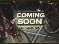 SUPERJUNIOR-comimg soon!