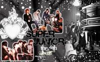 super junior 4th album