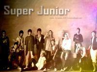 Super junior