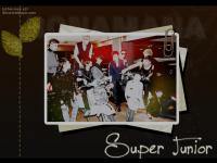 Super junior new pic #!