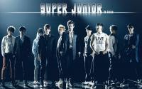 Super Junior 4th Album