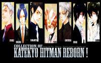 Collection of KATEKYO HITMAN REBORN !