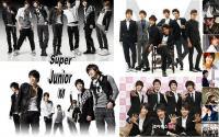 Super Junior M memories