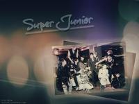 Super Junior 4th Album