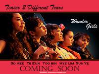 Teaser WG  2 Different Tears