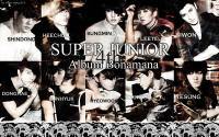 super junior bonamana