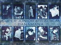 Super Junior[4th Album] BONAMANA 