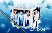 CN BLUE BLUE LOVE