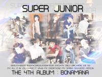 Super Junior Gallery Ver.1