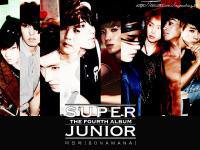 Super Junior 4jib