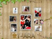 T-ARA ( :