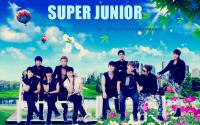 super junior bonamana