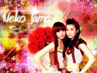 Neko Jump - The Blooming Roses