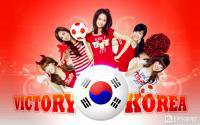 SNSD | Victory Korea Fighting!