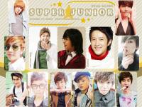 Super Junior : Star Cards
