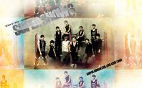 Super Junior : Super Show 3 [widescreen]