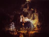 Twilight : Bella & Edward