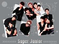 Super Junior [Cutie]