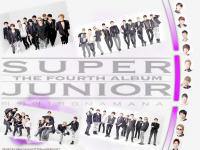 SUPER JUNIOR