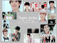 No Other Super Junior [MV]