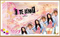 cute bunny