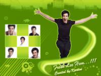 Wang Lee Hom Green Green