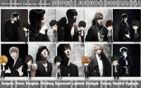 Super Junior  "BONAMANA" [Pic and Cartoon]